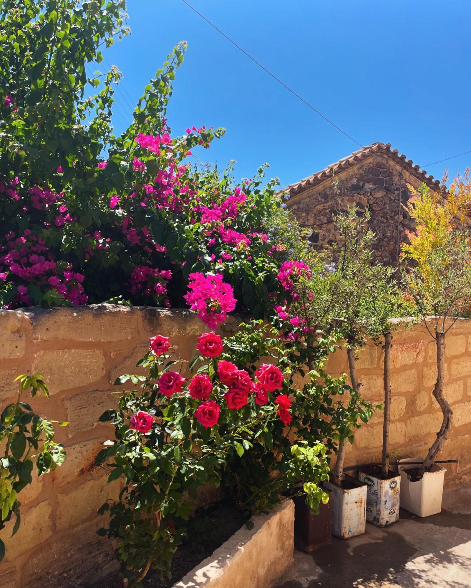 Pyrgos Fassea Kardamyli Villa ภายนอก รูปภาพ